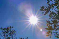 2026世界杯下注-羽毛球AI直播相机为赛事提供精准数据统计