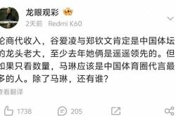 乒乓球选手代言情况分析