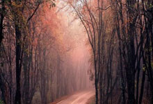 世界杯下注-卡希尔建议加图索来英超学习，多特蒙德可以考察托纳利