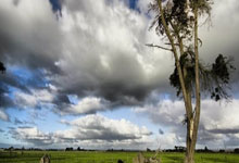 世界杯竞猜-转会1+1：枪手(shǒu)或今夏1700万追新阿扎尔 皇马有意挖曼城中场核心