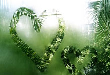 2026世界杯竞猜-迈凯伦CEO：我是梅基斯粉丝没有霍纳的(de)F1更健康