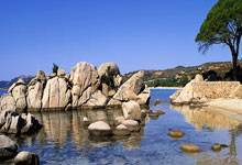 2026世界杯竞猜-迈凯伦CEO：我是梅基斯粉丝没有霍纳的(de)F1更健康