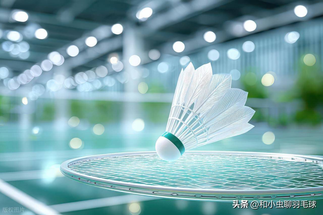 数据揭秘，羽毛球爱好者必看！一年烧钱6000+的真实账单曝